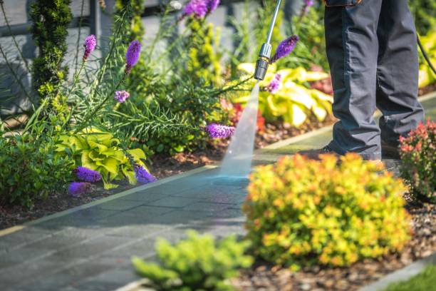 Best Patio and Deck Pressure Washing  in Margate, FL
