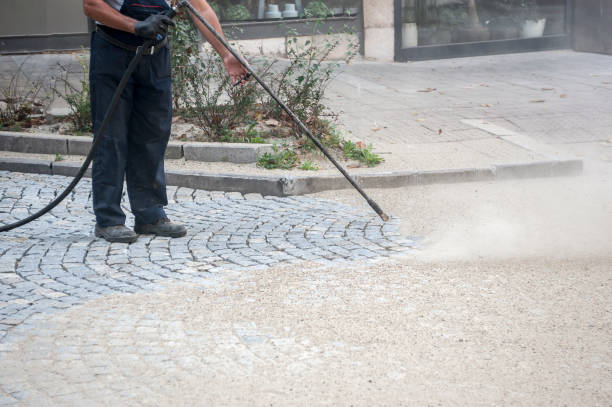 Animal Enclosure Cleaning in Margate, FL